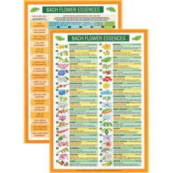 Bach Flower Essences Mini Chart
