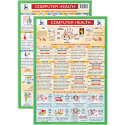 Computer Health Mini Chart