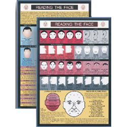Face Reading Mini Chart