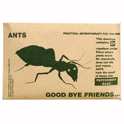 Goodbye Friends Ants