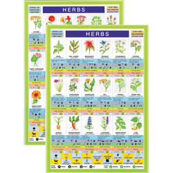 Herbs Mini Chart