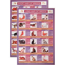 Cat Breeds Mini Chart