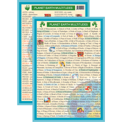 Planet Earth's Multitudes Mini Chart